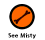 See Misty